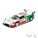 Lotus Elise GT1 "Castrol" N°51