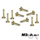Vis M&eacute;triques en Laiton M2x9mm T&ecirc;te large x10