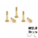 Vis M&eacute;trique de Suspension M2.3xx9 Partiellement filet&eacute;e x10