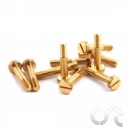 Vis M&eacute;trique de Suspension x10